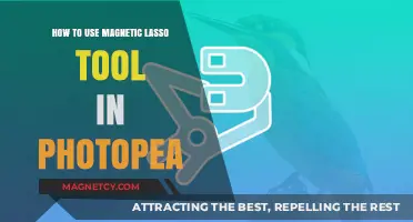Mastering Magnetic Lasso Tool in Photopea: A Step-by-Step Guide