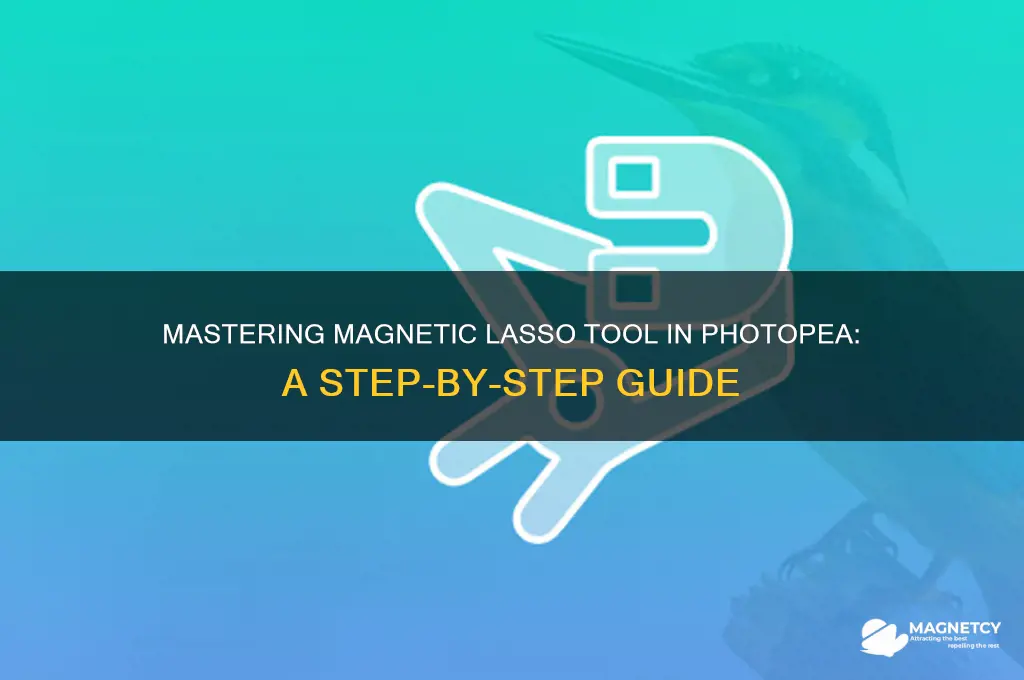 how to use magnetic lasso tool in photopea