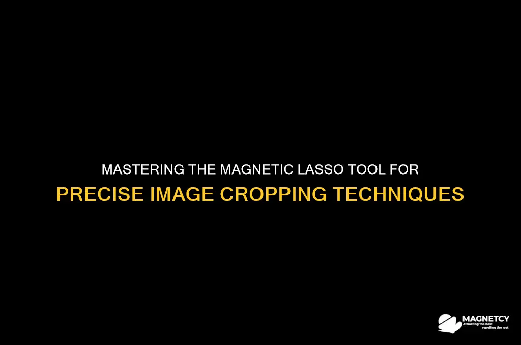 how to use magnetic lasso tool to crop