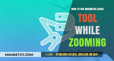 Mastering Magnetic Lasso: Zoomed-In Techniques for Precision Selection in Photoshop