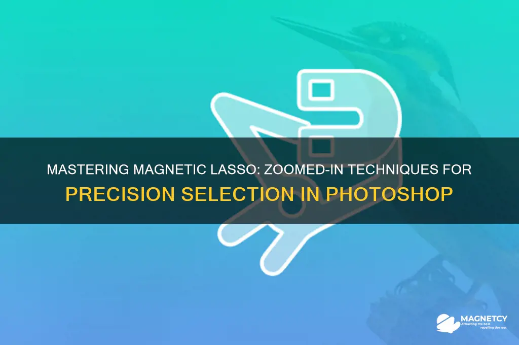 how to use magnetic lasso tool while zooming