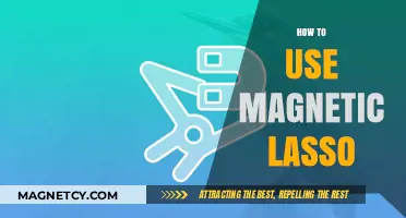 Mastering Magnetic Lasso: A Step-by-Step Guide for Precise Selections