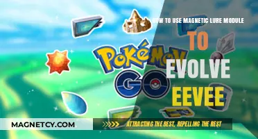 Mastering Eevee Evolution: Magnetic Lure Module Tips and Tricks