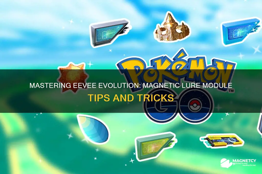 how to use magnetic lure module to evolve eevee
