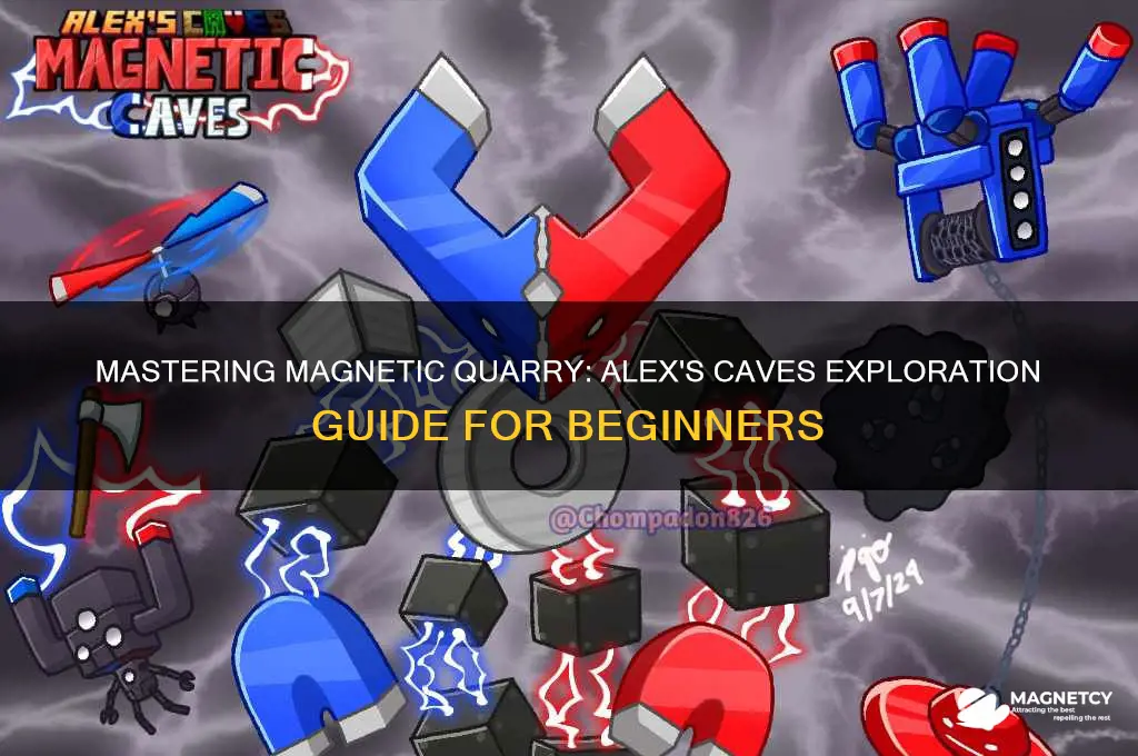 how to use magnetic quarry alex