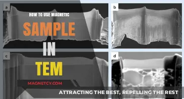 Mastering TEM Analysis: Effective Use of Magnetic Samples in Microscopy