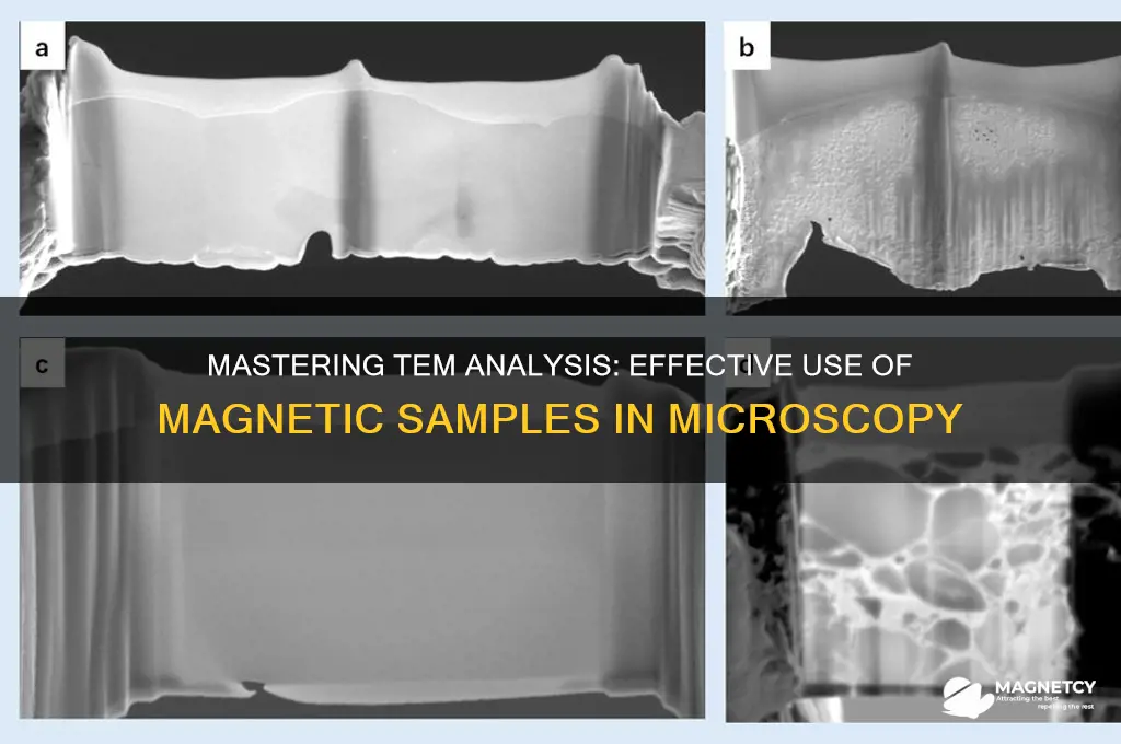 how to use magnetic sample in tem