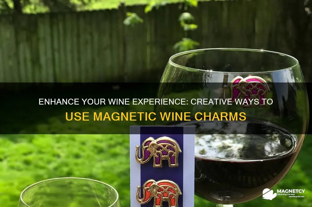 how to use magnetic wine charms