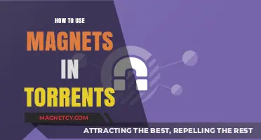 Magnets in Torrents: A Comprehensive Guide to Efficient Magnet Links