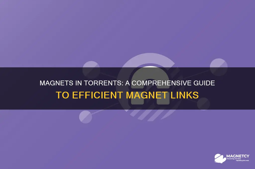 how to use magnets in torrents