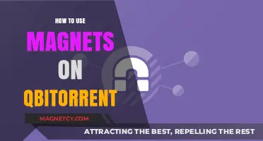 Magnet Links in qBittorrent: A Step-by-Step Guide to Efficient Torrenting