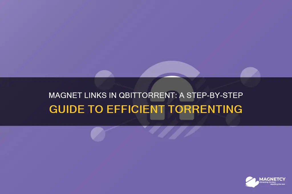 how to use magnets on qbitorrent