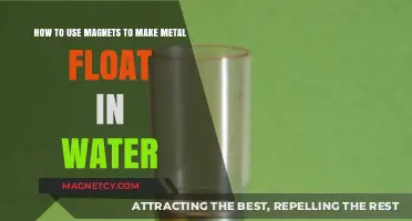 Magnetic Levitation: Floating Metal in Water with Simple Magnets
