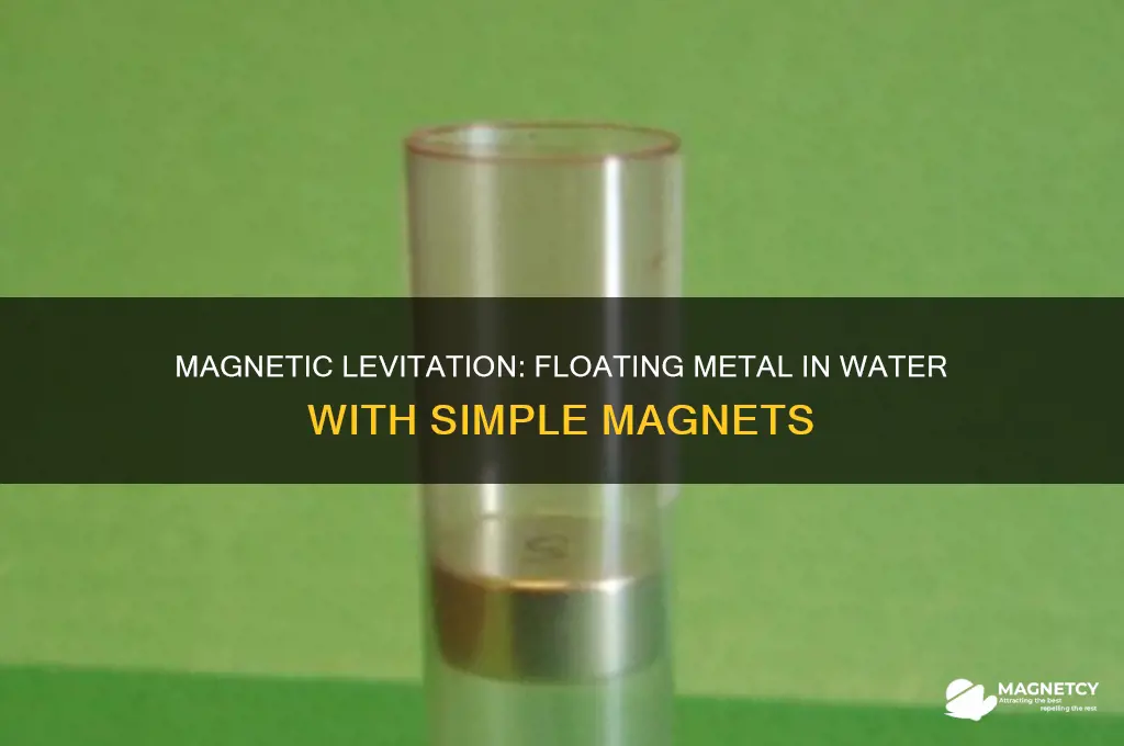 how to use magnets to make metal float in water