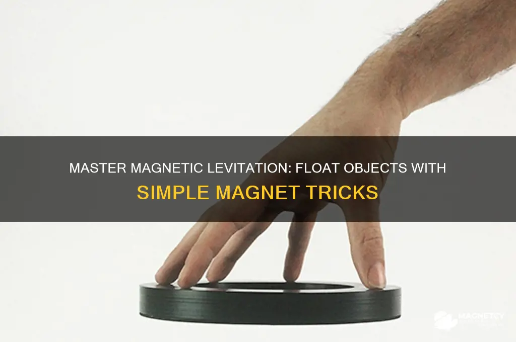 how to use magnets to make something float