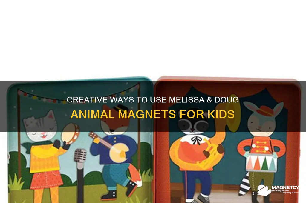 how to use melissa and doug animal magnets