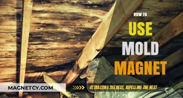Effective Mold Magnet Usage: Tips for Safe and Efficient Removal