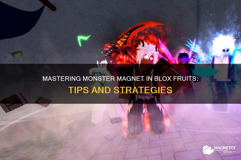 how to use monster magnet blox fruit