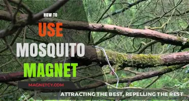 Mastering Mosquito Magnet: Effective Tips for Mosquito-Free Outdoor Spaces