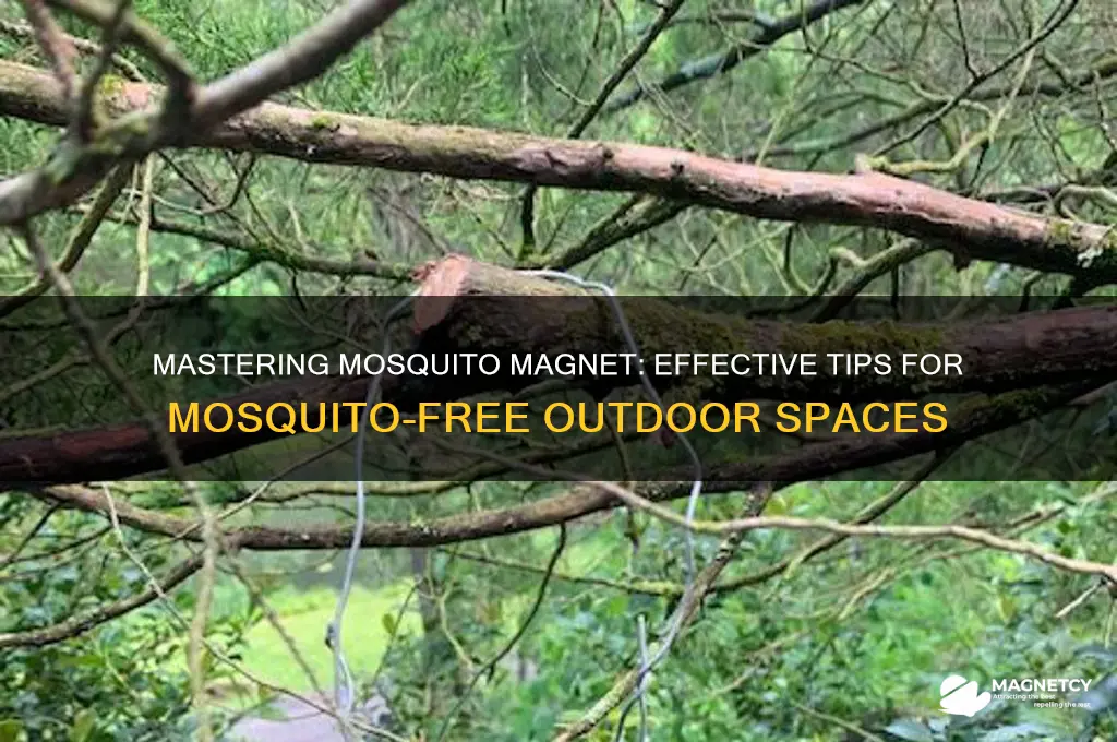 how to use mosquito magnet