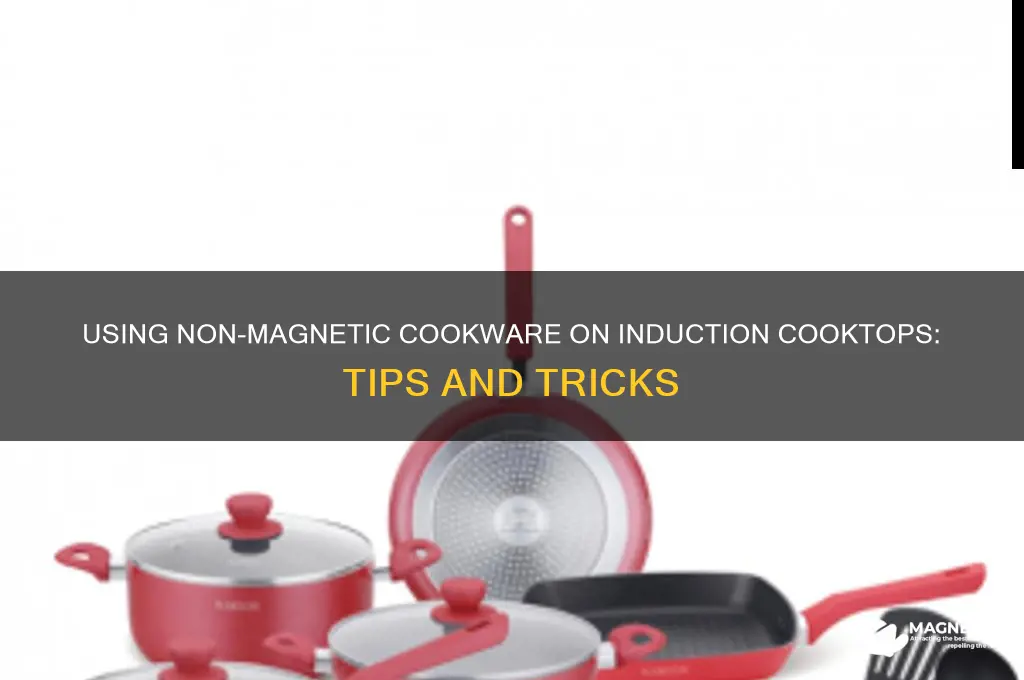 how to use non magnetic pots on induction