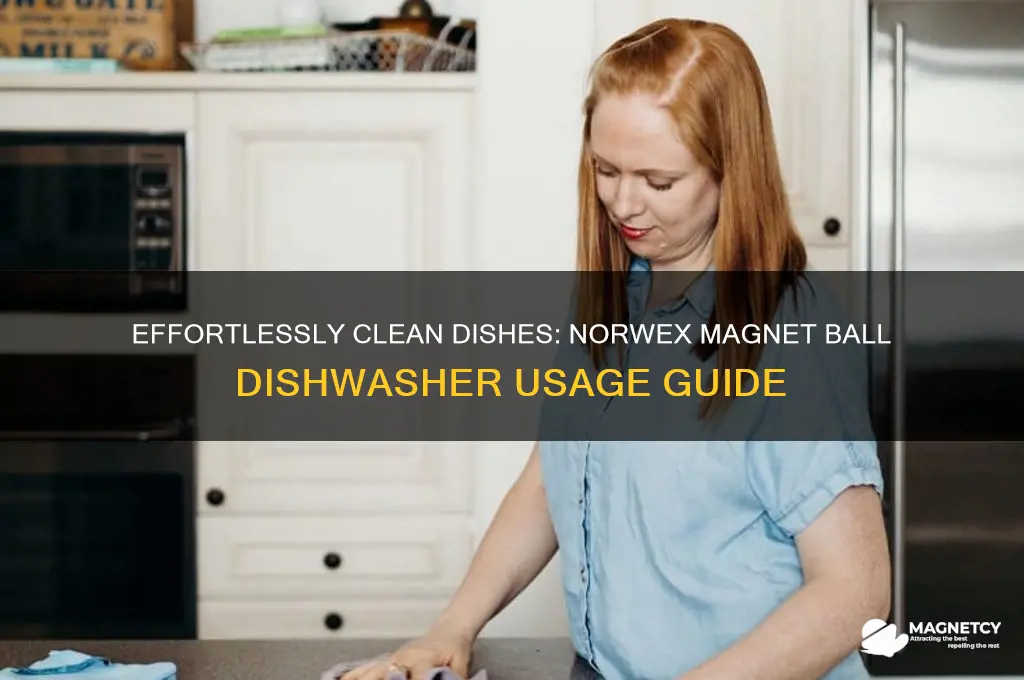 how to use norwex magnet ball in dishwasher