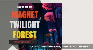 Mastering Ore Magnet in Twilight Forest: Tips and Tricks
