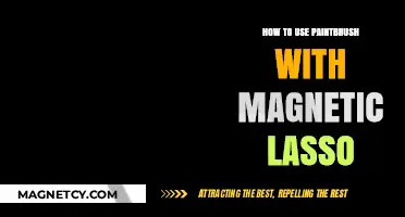 Mastering Magnetic Lasso: Enhance Your Paintbrush Skills in Photoshop