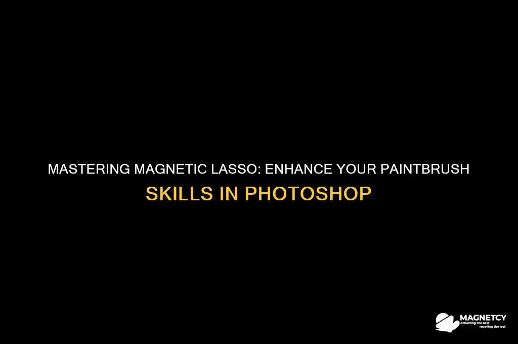 how to use paintbrush with magnetic lasso