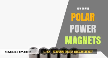 Mastering Polar Power Magnets: Practical Tips for Effective Usage