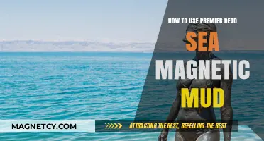 Unlock Radiant Skin: Premier Dead Sea Magnetic Mud Application Guide