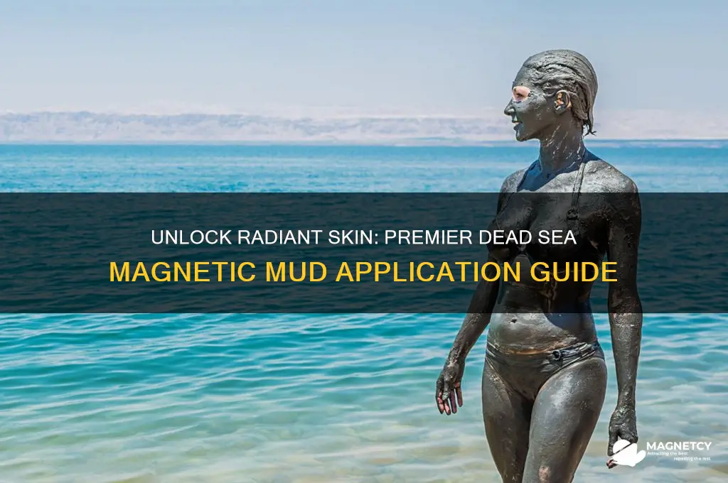 how to use premier dead sea magnetic mud