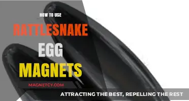 Creative Uses for Rattlesnake Egg Magnets: Tips and Tricks