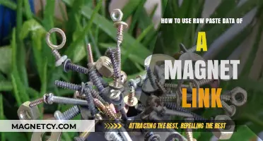 Mastering Magnet Links: Utilizing Raw Paste Data for Efficient Torrenting