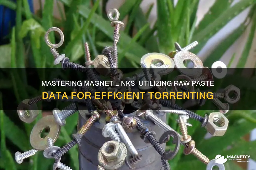 how to use raw paste data of a magnet link
