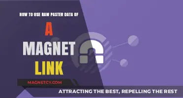 Mastering Magnet Links: Utilizing Raw Paster Data for Efficient Torrenting