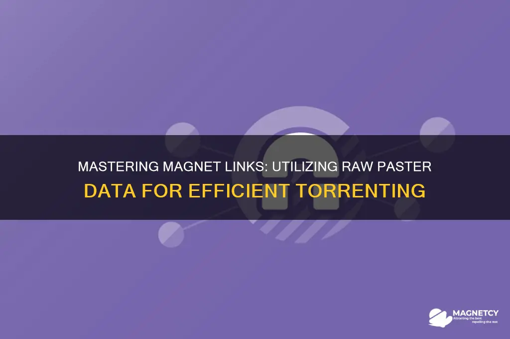 how to use raw paster data of a magnet link