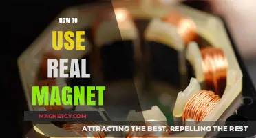 Mastering Real Magnets: Practical Tips for Effective Use and Applications