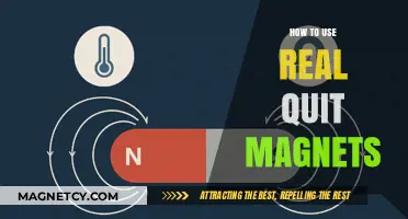Mastering Real Quit Magnets: Effective Strategies for Lasting Results