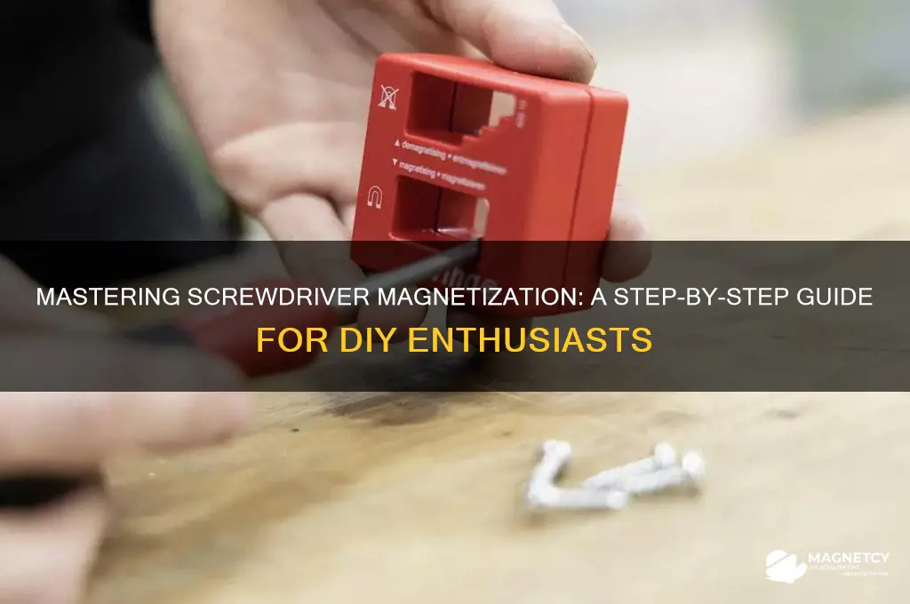 how to use screwdriver magnetizer