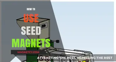 Mastering Seed Magnets: Effective Techniques for Optimal Results