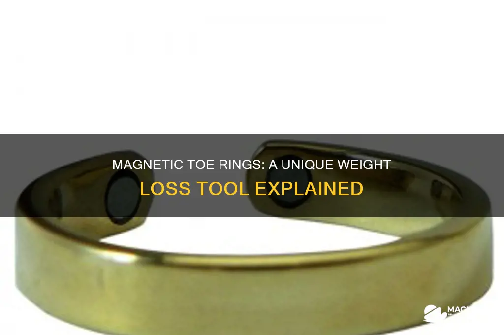 how to use small magnets for weight loss toe rings