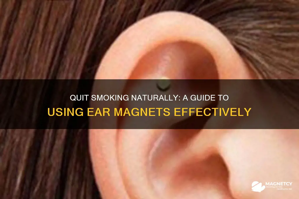 how to use stop smoking ear magnet