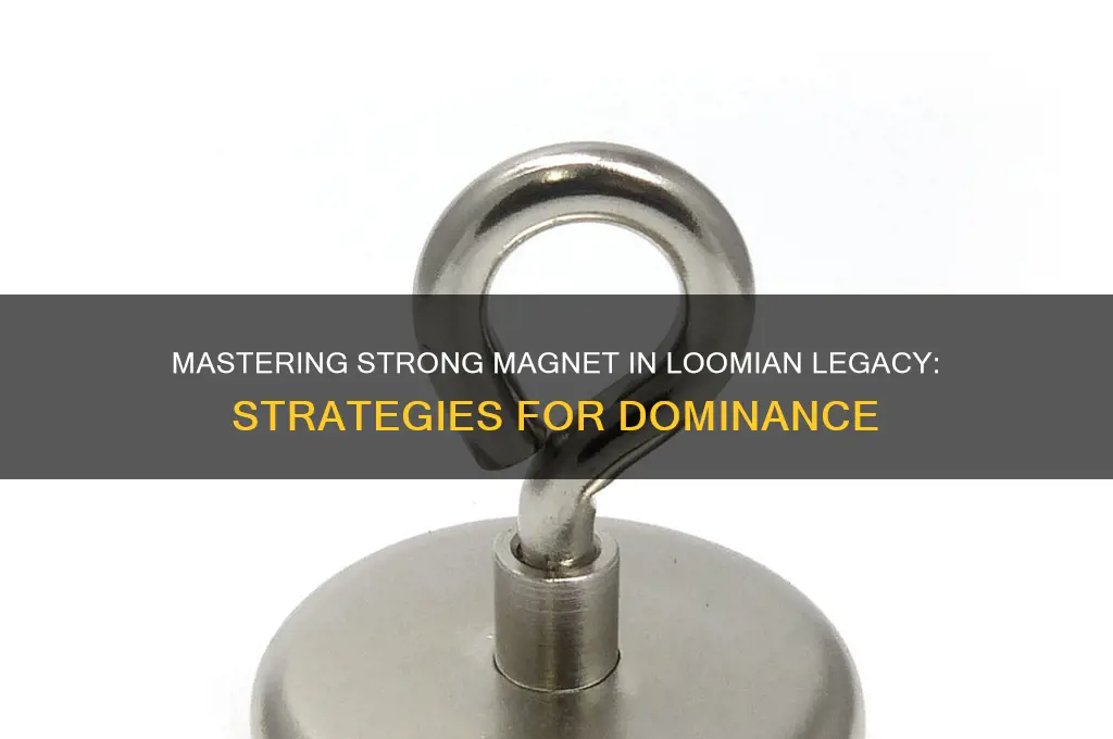 how to use strong magnet loomian legacy