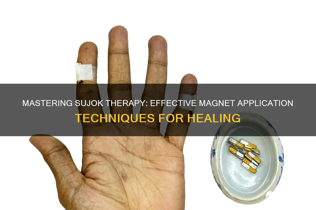 how to use sujok magnets