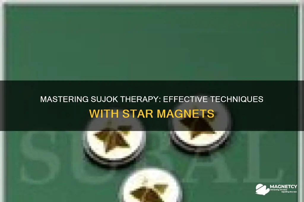 how to use sujok therapy star magnets