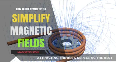 Simplify Magnetic Field Analysis with Symmetry Principles and Techniques