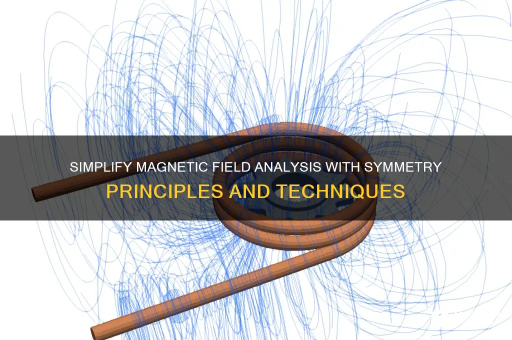 how to use symmetry to simplify magnetic fields