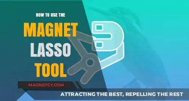 Mastering the Magnet Lasso Tool: Tips and Techniques for Precision Selection