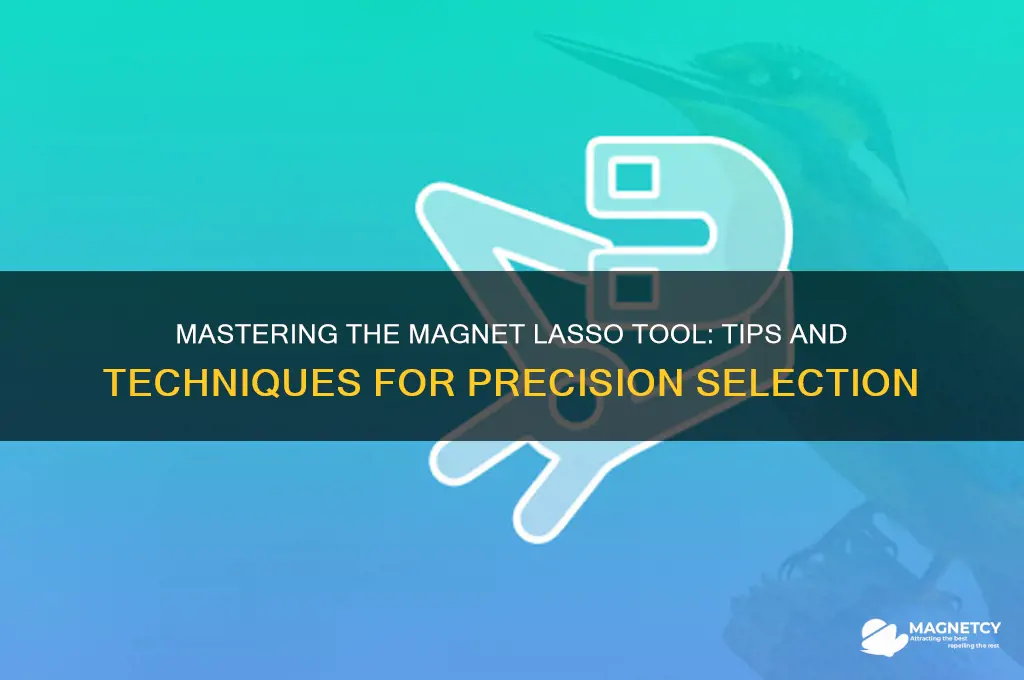 how to use the magnet lasso tool